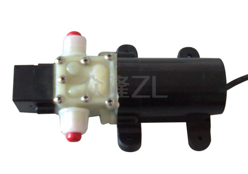 ZLP01 Self-Priming Pump